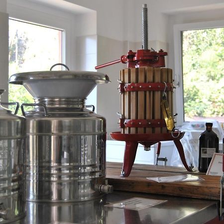 Bed and Breakfast Ca' Dei Fazzilisti Mori Zewnętrze zdjęcie